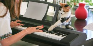 Musical Instruments